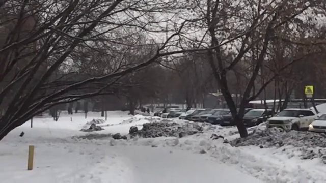 День из жизни маркетолога на фрилансе. Заброшенные лофты в Москве. Утки и Мукбанг. смотреть онлайн