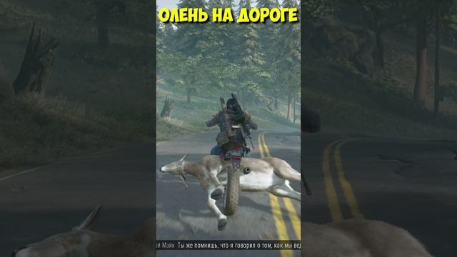 Олень на дороге #shorts #daysgone #жизньпосле #байк #олень