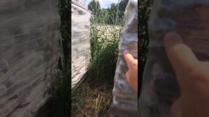 Выбор плитняка для облицовки отмостки. Лемезит. Купить в Нижнем Новгороде