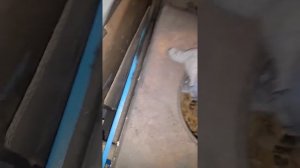 Чистка котла ZOTA MASTERS 25