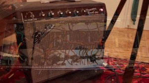 1966 Fender Princeton Reverb Guitar Amplifier Demo