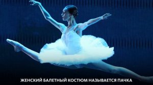 МИРОВОЙ ТАНЦПОЛ. КЛАССИЧЕСКИЙ БАЛЕТ