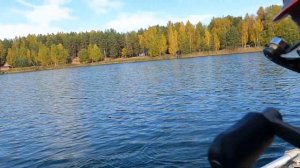 Щука на кружки и трал. Как поставить кружки чтобы не сносило ветром.