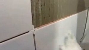 Как положит плитку,керамическая плитка