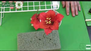 Приготовьте рождественский амариллис для тортов и подарков - Часть 2