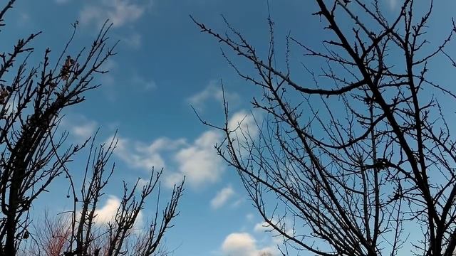 8 качеств женщины, которую невозможно забыть. смотреть онлайн