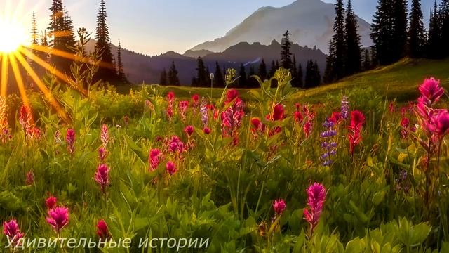Верни её немедленно она же богатая наследница - свекровь узнала что её невестка миллионерша...
