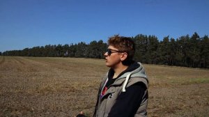 Интересный Фикус