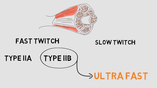 КАК БЫСТРО УВЕЛИЧИТЬ ПРЫЖОК С 30 ДО 60 СМ. ЧТО САМОЕ ГЛАВНОЕ ДЛЯ ПРЫЖКА? смотреть онлайн