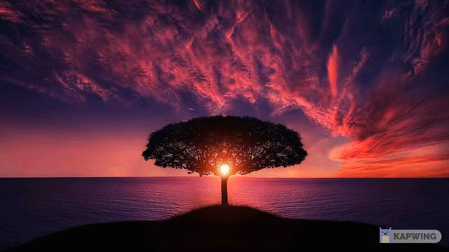 ▶️ Музыка для релакса | Фото природы | Отдохните | снимите усталость#музыка #4k #meditation #релакс смотреть онлайн