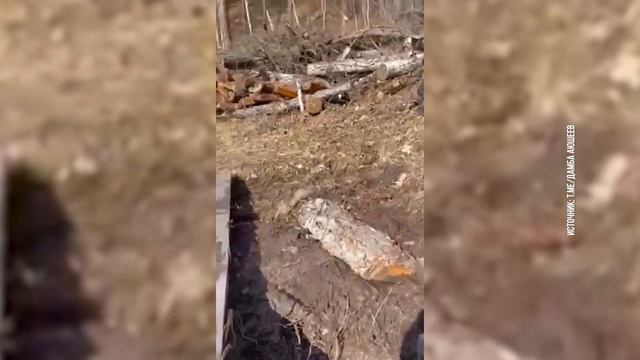 Ом мани падме хум: история возведения самой большой статуи Будды в России