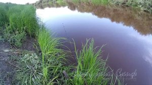 Рыбалка на карася