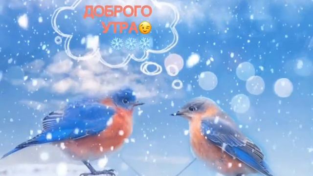 С ДОБРЫМ УТРОМ😉#пожеланиядоброгоутра#доброеутро#утро