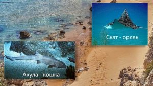 Краткий пересказ рассказа (повести) "Последний дюйм" Джеймса Олдриджа.