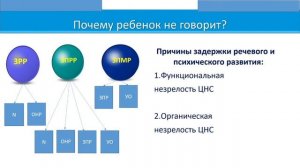 Светлана Батяева. Ребенок не говорит. Как помочь?