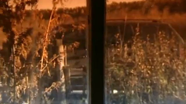 Таинственная Россия «Красноярский край  Духи людоеды реальны»