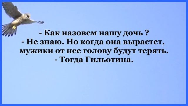 Отличный сборник смешных анекдотов! Юмор Шутки Приколы! смотреть онлайн