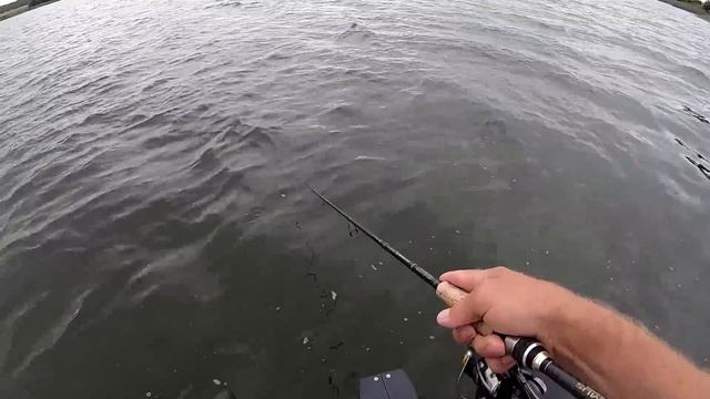 Воблер НА ЩУКУ который у меня хорошо ловит!!! Копия Deps Balisong 130SP. Рыбалка на спиннинг.