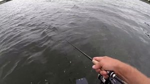 Воблер НА ЩУКУ который у меня хорошо ловит!!! Копия Deps Balisong 130SP. Рыбалка на спиннинг.