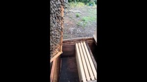 Пересадка пчелопакетов.