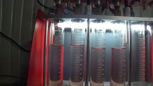 Промывка форсунок на стенде LAUNCH CNC-602A. Октябрьская акция!