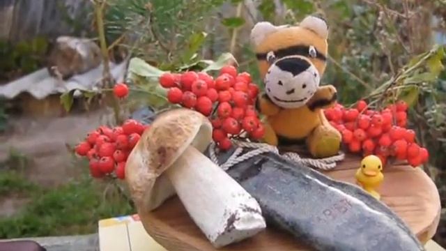 Как правильно готовит еду смотреть онлайн