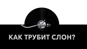 Как трубит слон? ? Звук трубящего слона и какие звуки издает трубящий слон