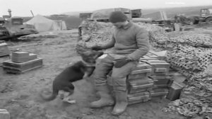 Не для меня придёт весна - Бабкины внуки