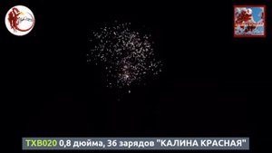 TXB020 0,8 дюйма, 36 зарядов "КАЛИНА КРАСНАЯ"