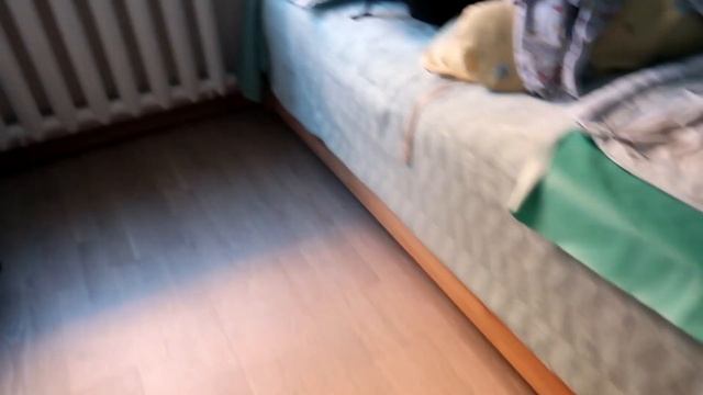 Vlog: Опять на удаленке // Кот отказывается есть смотреть онлайн