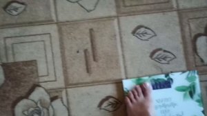 весы мотиватион motivation обзор