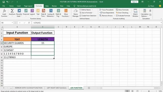 How to Use Excel LEN Function