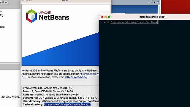 Clear the cache in Netbeans 16