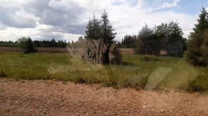 Путешествуем по Пермскому краю/Пермь-1+ пос.Ильинский#пермскийкрай #путешествия