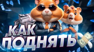 Как Быстро Поднять 1000000 в HAMSTER KOMBAT советы начинающим !!!!