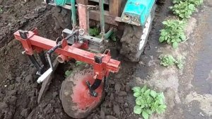 Окучивание картофеля самодельным дисковым  окучником на минитракторе. Окучник для картофеля.