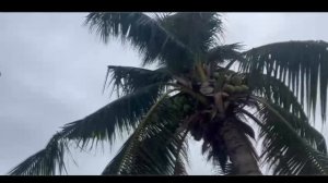 Паттайя Юг.Сегодня сентябрь 2023 год