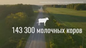 300 миллионов за ферму __ Новосибирская область (1)