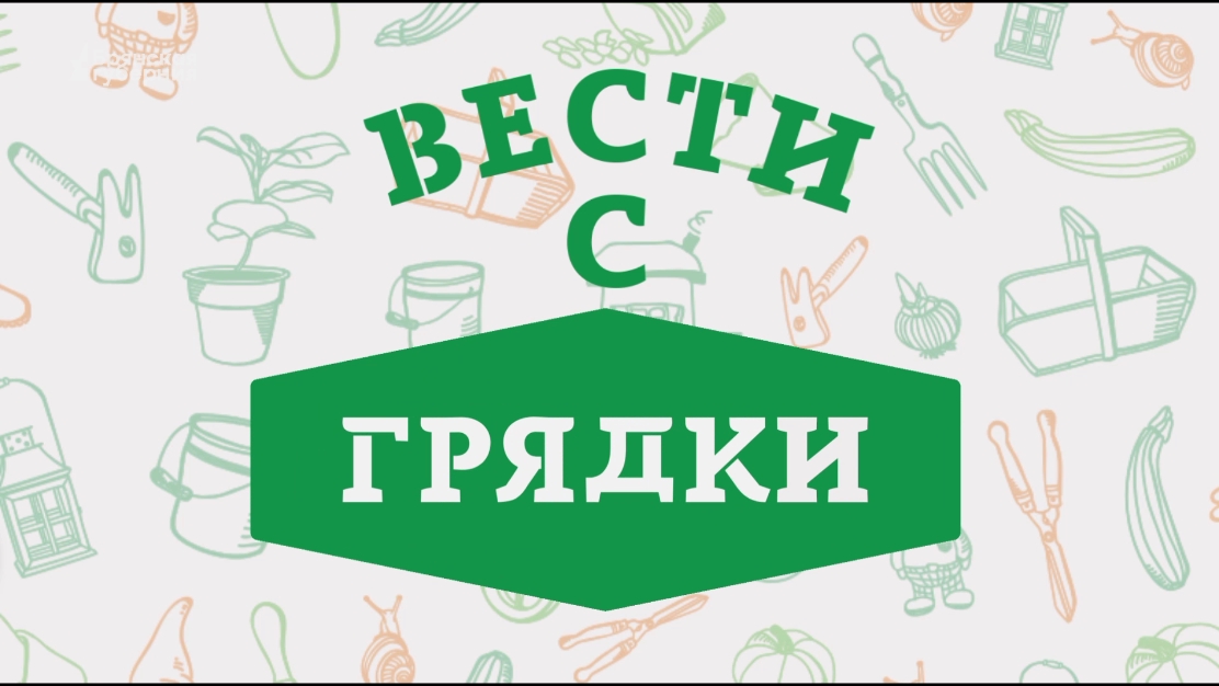 «Вести с грядки». Выпуск от 22 марта 2023 года