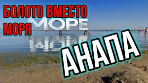 Анапа/Болото вместо моря и неадекватный персонал/Зачем сюда едут