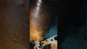 Дальнобой купил Фредлайнер и попал почти на 3.000.000 рублей! Как обманывают дальнобойщиков! 1часть