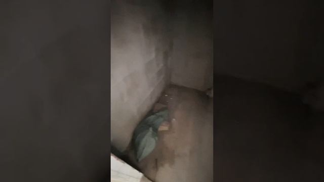 ЖК Форест Аквилон смотреть онлайн