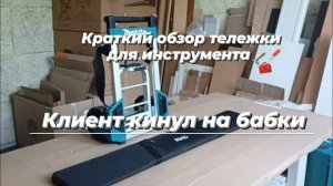 краткий обзор тележки для инструмента #makita и чехол для направляющей шины #ams #сборкамебели