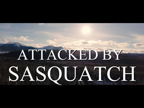 ATTACKED BY SASQUATCH!