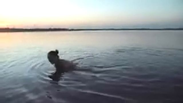 Сакское озеро.#Крым
