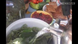 ПОЛЕЗНЫЙ КВАС БЕЗ дрожжей из листочков и побегов винограда