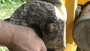 ТОЧЕНИЕ ВАЗЫ ИЗ ГНИЛОЙ ОСИНЫ