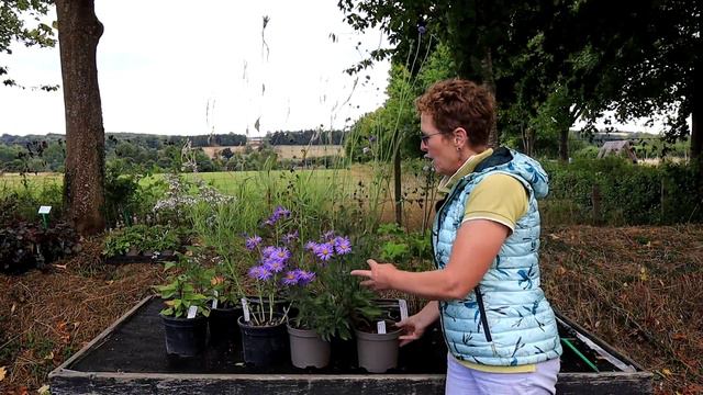 How To Build A Cool Colours Garden Border смотреть онлайн