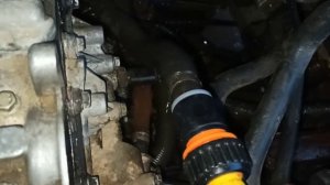 Замена антифриза Renault Scenic 1 1,6L