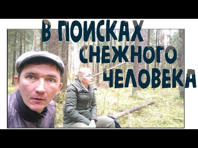 В поисках снежного человека | лес где были найдены следы и маркеры йети |